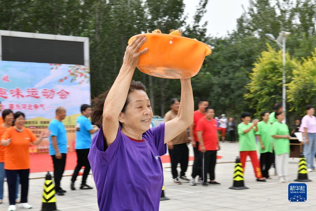 龙虎和数字怎么看的